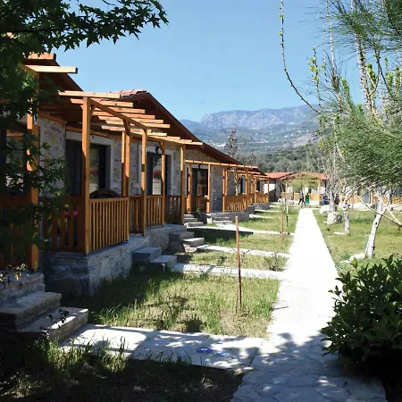 Begonvillage *